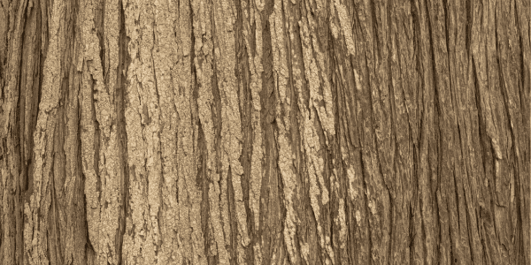 Cypress wood - termite proof wood