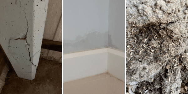 Major building and pest inspection defects