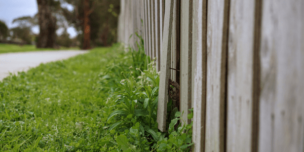 poor fencing - common faults found in building inspections