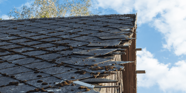 Blog - roof tiles