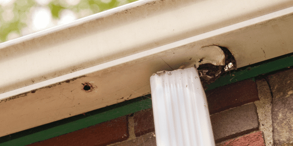 rusted and leaking gutter