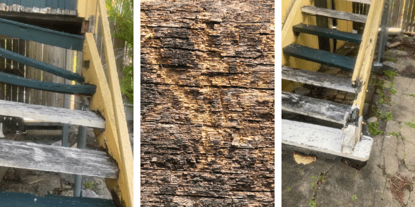 timber fungal decay on stairs