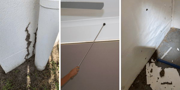 timber pest inspection - signs of termites
