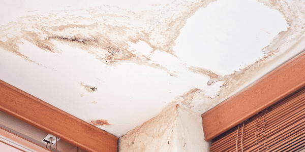 water damage and how to avoid it