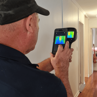 Building and pest inspection