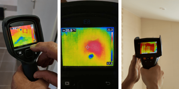 building and pest thermal imaging