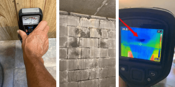 moisture problems and rising damp