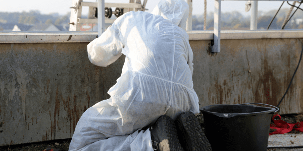 asbestos testing and inspection