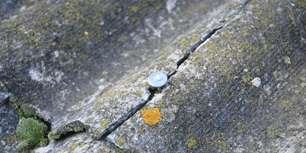 asbestos testing for removal